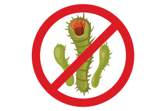 Download Anti Germ Symbol. Infection Alert Red Si - Alert Collection