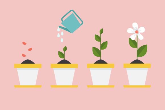 Download Timeline Infographic of Planting Tree - Graphic Collection